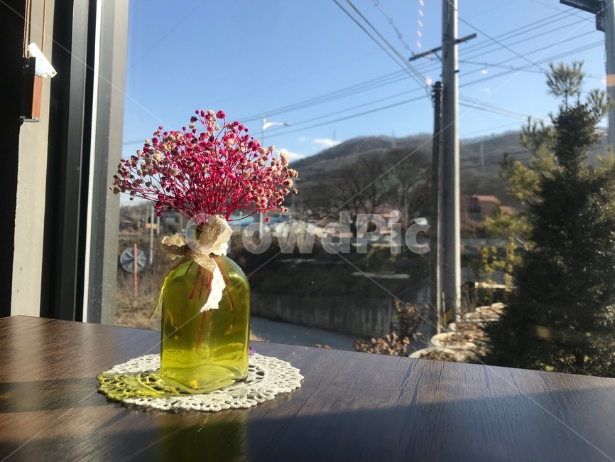 꽃,카페,인테리어,꽃병,창밖,창문,햇살,사물,물건,오브젝트,thing,object,matter