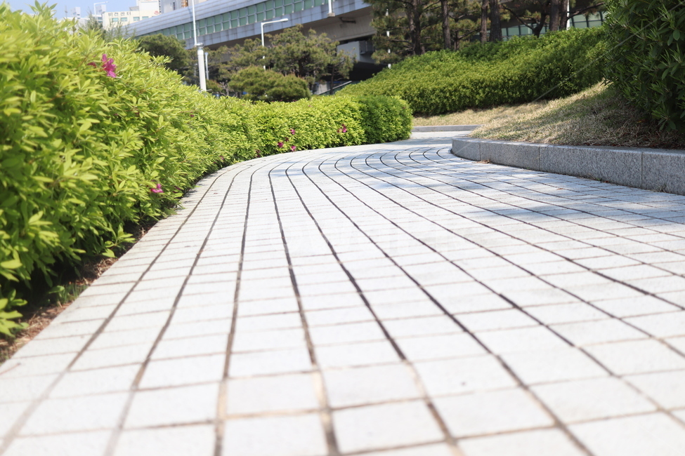 옥외,outdoors,정원,garden,가로수