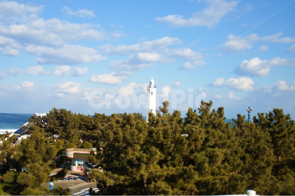 등대,멀리보기,하늘,구름,숲,등대,lighthouse