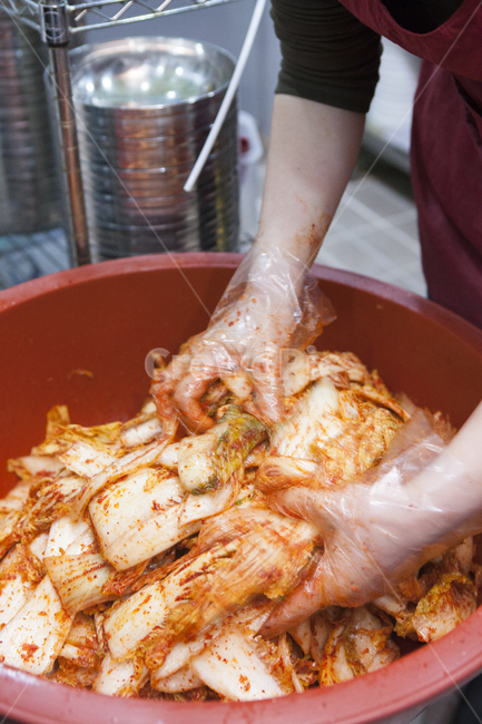 배추,겉절이,김치,김장,김장김치,음식,식재료,요리,food,cook,meal,dishes,food reserves,한식,한국음식,한국요리,korean food,korean dishes,korean meal,korean cook