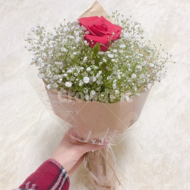 장미,장미선물,장미데이,로즈데이,로즈,꽃,flower,기념일,축하,anniversary,congratulation,celebrate,celebration
