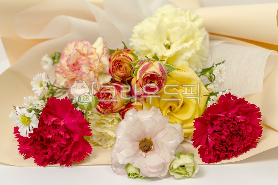 카네이션,어버이날,꽃,꽃다발,flower,flowerarrangement,flowerbouquet,rose,장미,carnation