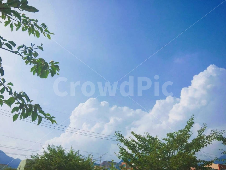 구름,하늘,풍경,감성,색감,자연,풍경,nature,landscape,outdoors,옥외