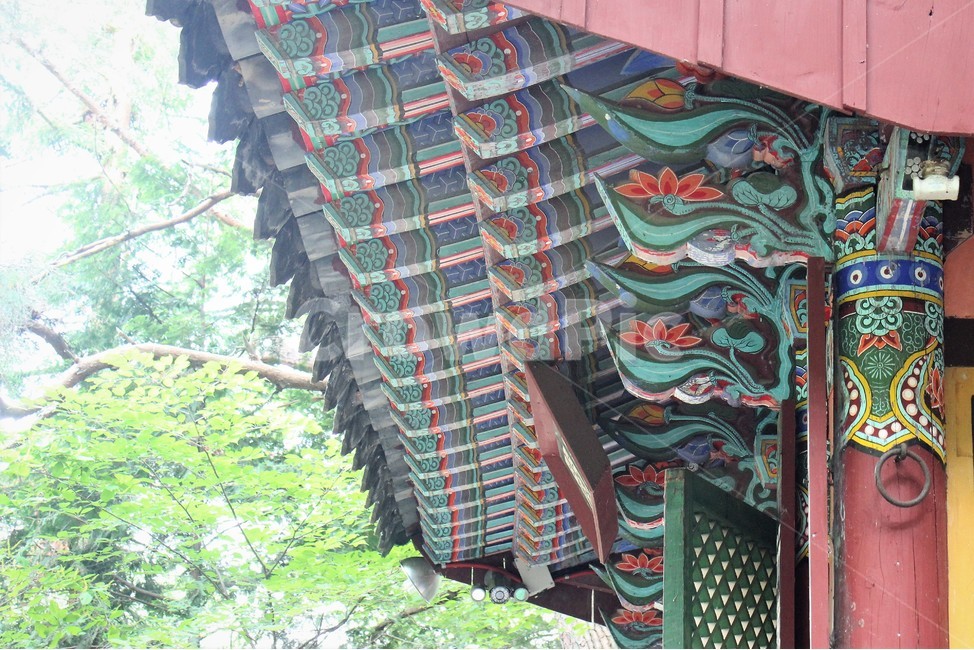 단청,기와,사찰,절,자연,한국전통,monchung,tile,temple,nature,koreantradition,한국전통,한국문화,korean traditional,korean culture,건축물,건물외관,exterior,building,structure,architecture,construction