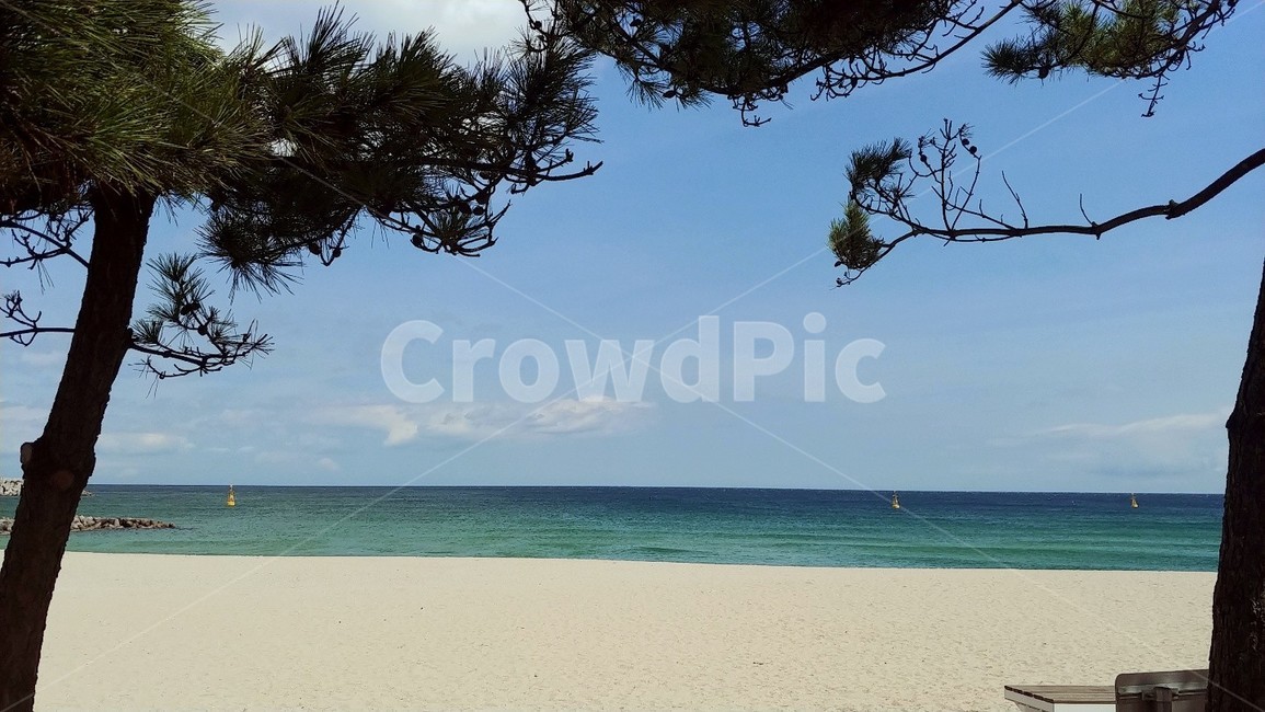 land,나라,nature,자연,outdoors,옥외,shoreline,해안선,ocean,바다,sea,물,water,대양,summer,여름