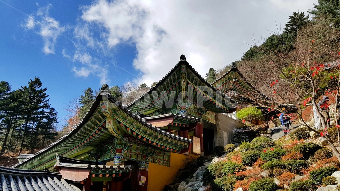 temple,사찰,가을,지붕,architecture,한국전통,한국문화,korean traditional,korean culture,건축물,건물외관,exterior,building,structure,architecture,construction