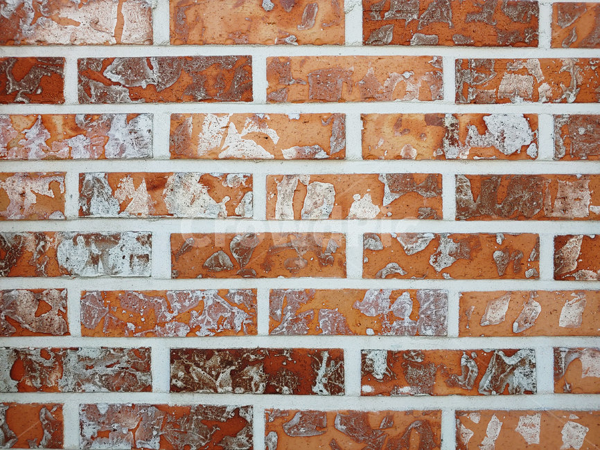 벽,낡은,벽돌,질감,texture,거칠다,붉은,담,담벼락,오래되다,wall,brick,텍스처,질감,패턴,texture,pattern