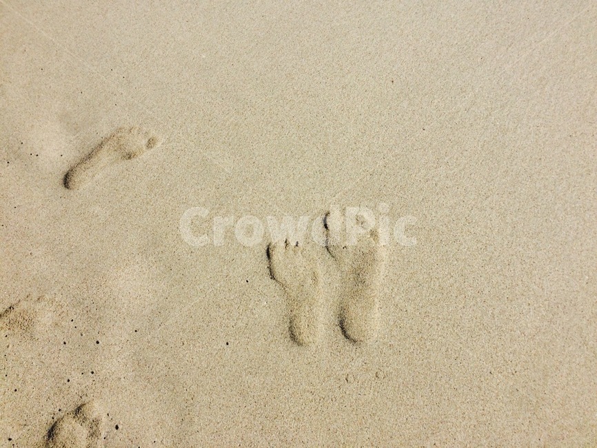 해변,모래,발바닥,커플,바다,해변,바다,beach,sea