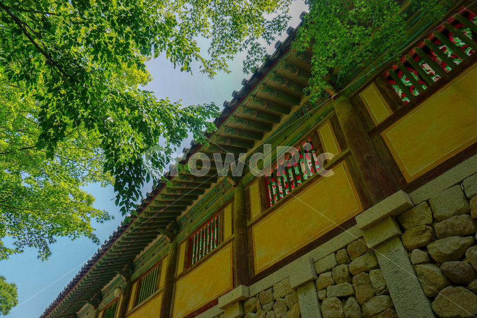 불국사,절,푸릇푸릇,부처님오신날,벽,한국전통,한국문화,korean traditional,korean culture,건축물,건물외관,exterior,building,structure,architecture,construction