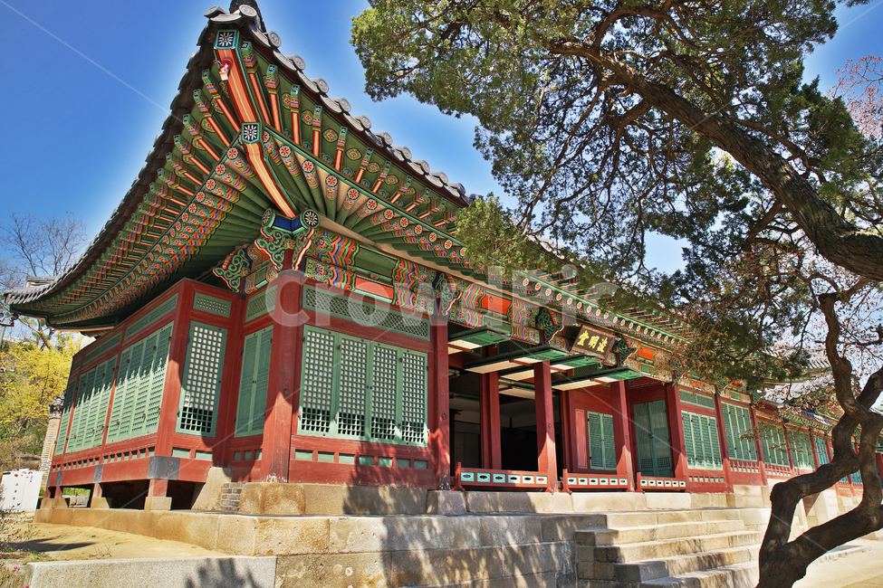 준명당,전각,덕수궁,궁궐,대한제국,고종,고목