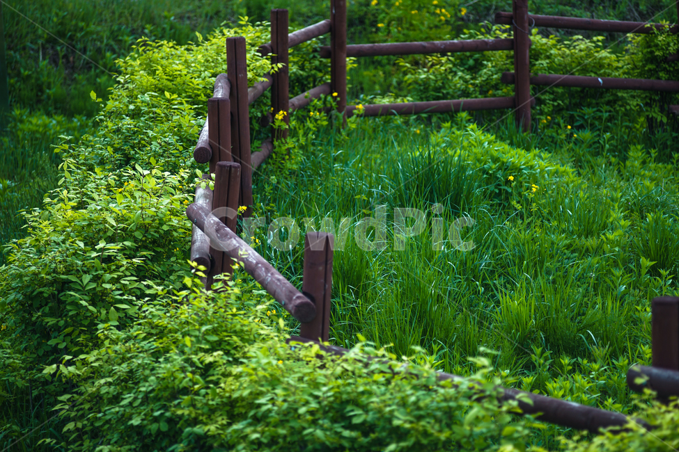 울타리,나무울타리,수생식물키우는곳,호수,공원,자연,풍경,nature,landscape