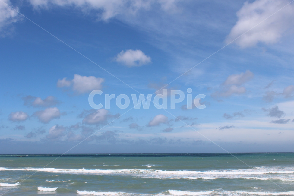 제주,제주도,바다,나무,야자수,여유로움,여유,nature,자연,outdoors,푸른하늘,sky,하늘,ocean,water,sea,물,날씨,land,땅,대양,coast,연안,자연,풍경,nature,landscape,한국자연풍경,한국자연경관,korea nature landscape,옥외,weather