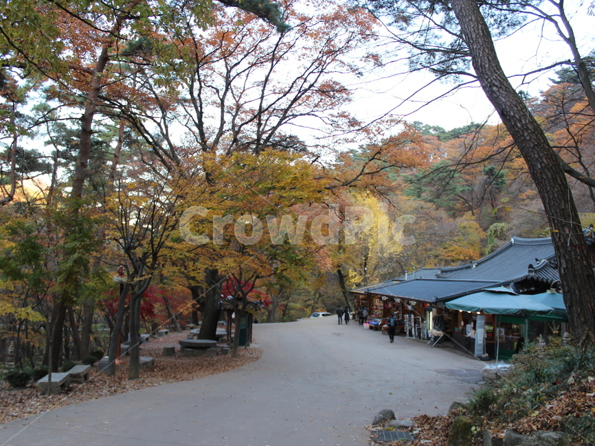 가을,가을풍경,가을산책,가을산,절