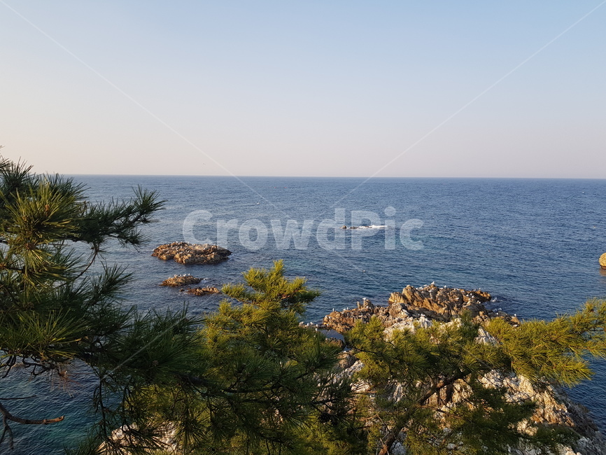 강원도,바다,장호항,맑은물,풍경
