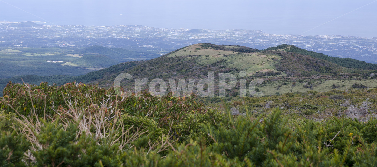 제주,제주도,한라산,산,하늘,꽃,까마귀,나무,자연,풍경,구름,자연,풍경,nature,landscape,한국자연풍경,한국자연경관,korea nature landscape,outdoors,옥외,hill,언덕