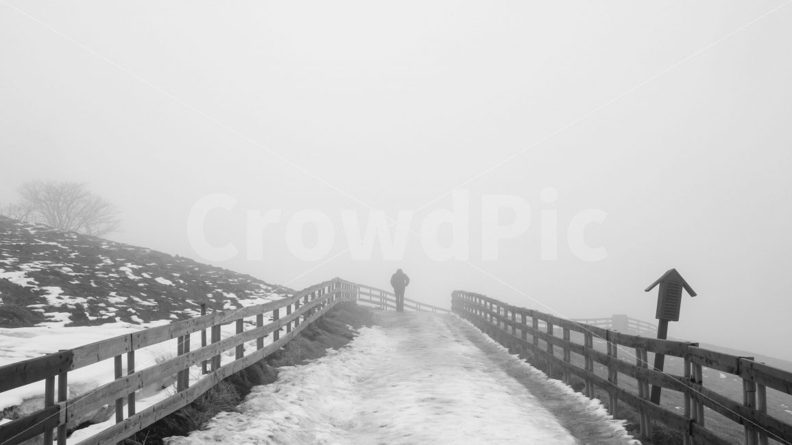 양떼목장,길,아버지,안개,snow,winter,father,자연,풍경,nature,landscape,겨울,계절,winter,season,흑백,모노톤,monochrome,black and white