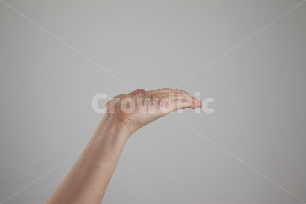 손각도,손,손모양,손가락,팔,왼손,손바닥,신체일부,손짓,표현,받침,사람,연출,컨셉,콘셉,동양인,human,person,body,hand,sign,expression,신체일부,몸,body,손,제스처,표시,손짓,표현,gesture,hand,sign,expression
