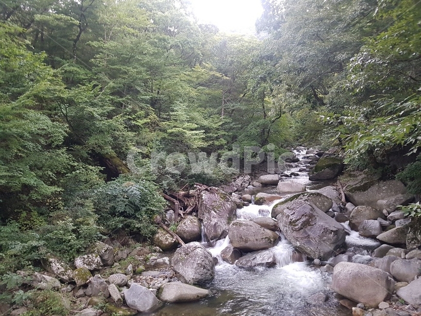 자연,nature,water,물,옥외,자연,풍경,nature,landscape,outdoors,stream,흐름,creek,작은 만