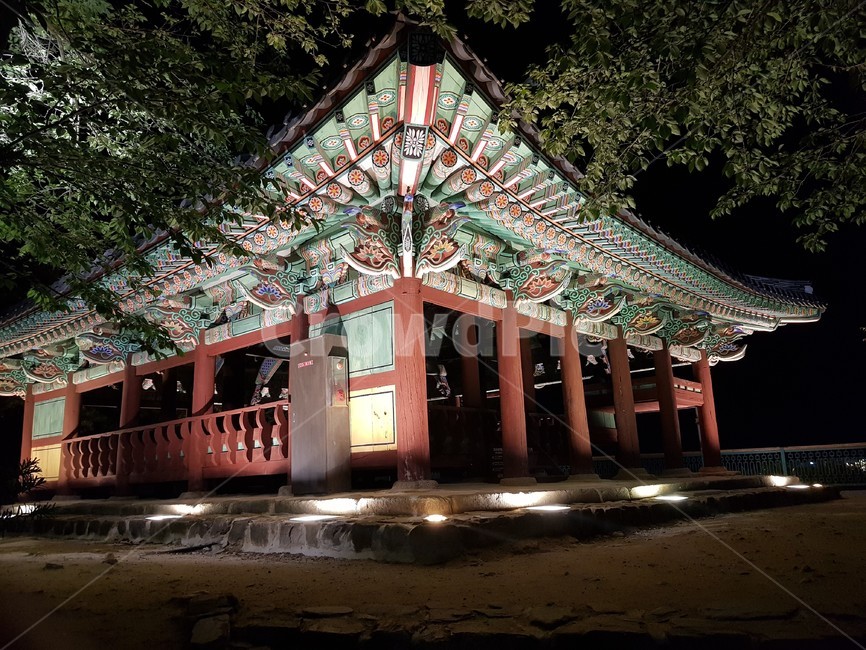 강릉,경포대,경포대공원,밤,자연