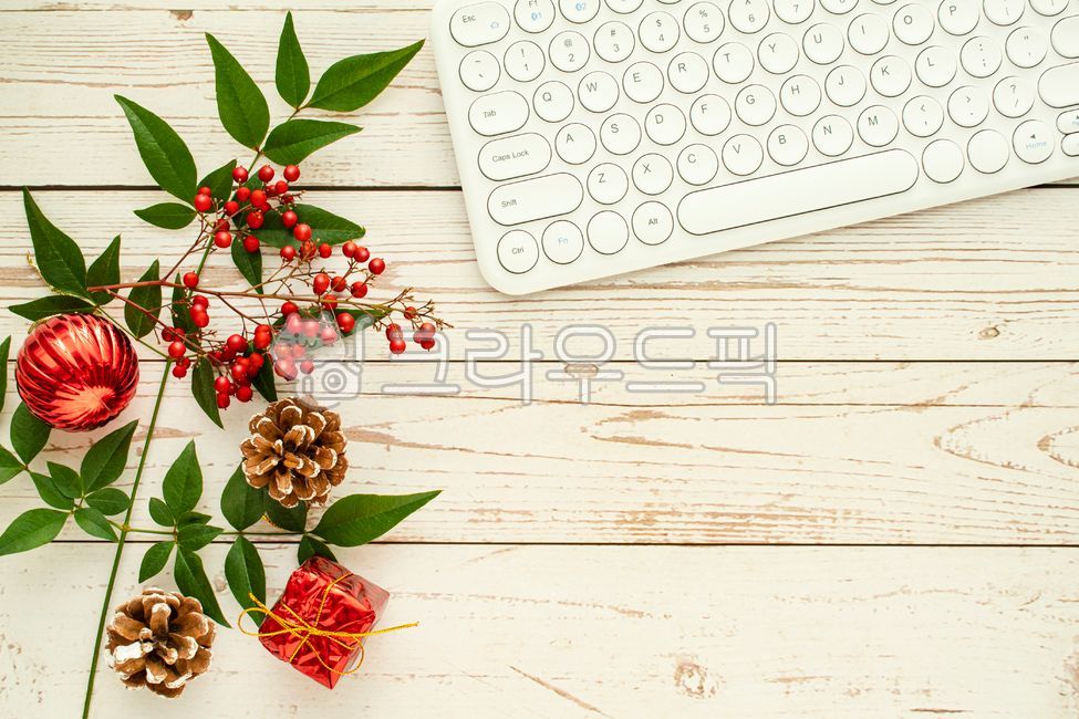 성탄,데코,틀,빨강,나무로되는,가지,베리,초록,네이처,겨울,소나무,나뭇잎,백,우드배경,배경,카피공간,크리스마스,데코레이션,프레임,성탄절,휴가,무늬,초록색,백그라운드,장식품,장식물,장식,모양,꾸밈,솔방울,여백,표지,형판,신선한,빨간열매,열매,키보드,오피스,블루투스,온라인,재택근무,펜,휴일,하얀,빈티지,디자인,plant,식물,leaf,잎,컴퓨터,크리스마스사진공모전