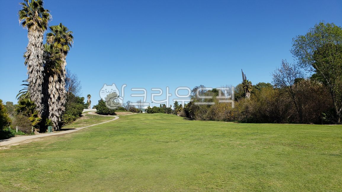 골프,스포츠,그린,골프코스,나무,하늘,golf,golfcourse,nature,field,필드,grassland,목초지,outdoors,옥외,자연,페어웨이,골프장