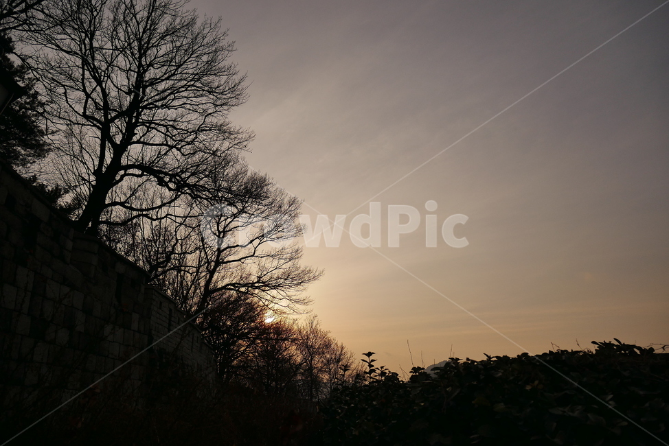 낙산공원,서울성곽,노을,해,길,산책,자연,풍경,nature,landscape,silhouette,실루엣,outdoors,옥외,dawn,새벽,red sky,붉은 하늘,sunset,일몰,sky,하늘,dusk,황혼