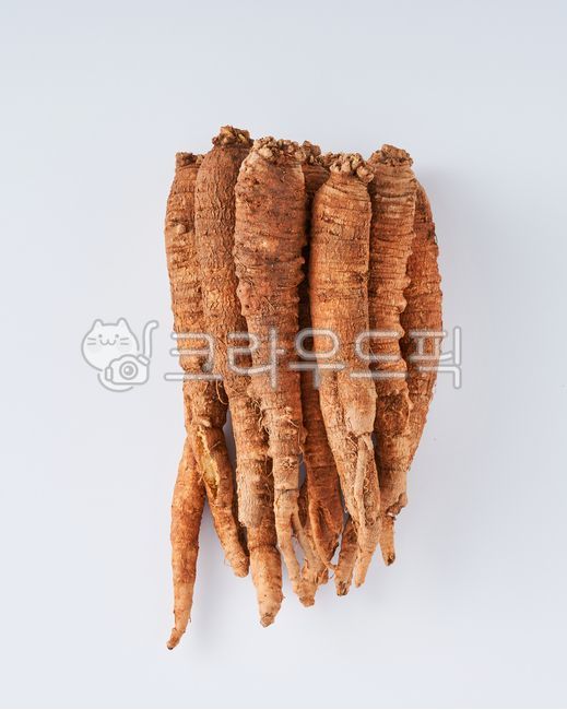 홍천더덕,자연산홍천더덕,더덕무침,더덕구이,깐더덕,생더덕,햇더덕,홍천더덕무침,홍천더덕구이,홍천생더덕,홍천햇더덕