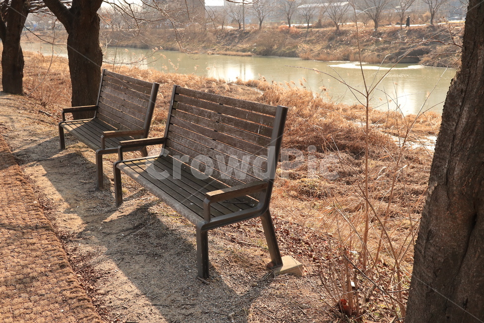 벤치,공원,여유,의자,나무