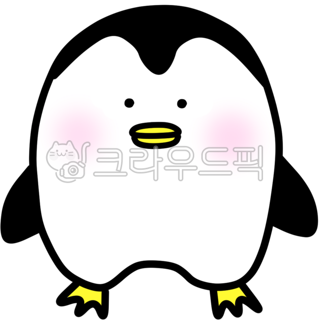 바다,바다동물,바다생물,해양,해양생물,해양동물,심해,해변,여름,동물,하얀색,귀여운,남극,얼음,눈,펭귄,펭귄캐릭터,펭현숙귄카