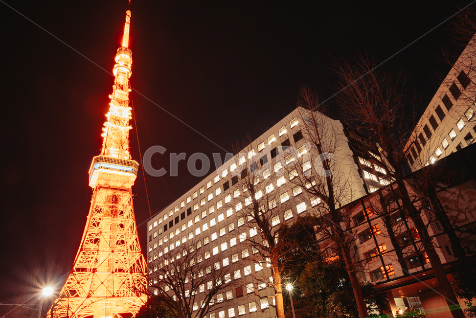 도쿄,도쿄타워,랜드마크,일본,야경,tokyo,japan,nightscape,야경,밤,풍경,nightscape,night,landscape,랜드마크,landmark,tourist attraction,해외,외국,세계,foreign,oversea,world,세계랜드마크,해외랜드마크,외국랜드마크,world landmark,world tourist attraction,건축물,건물외관,exterior,building,structure,architecture,construction,urban,어반,city,시티,town,도시,건물,downtown,도심,metropolis,중심지,tower,탑