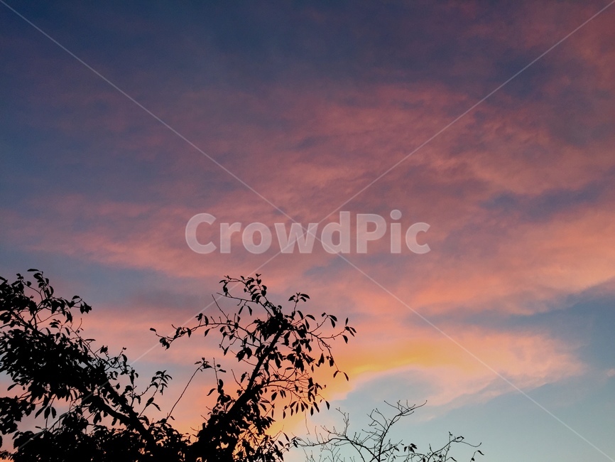 하늘,경치,배경,감성,분위기,구름,cloud,sky,sentiment,tree,leaf,나무,분홍,저녁,노을,night,자연,풍경,nature,landscape,silhouette,실루엣,outdoors,옥외,dawn,새벽,red sky,붉은 하늘,sunset,일몰,dusk,황혼