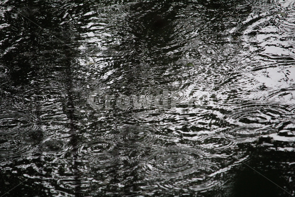 호수,비,보슬비,정적,고요함,비,비오는날,rain,rainy,텍스처,질감,패턴,texture,pattern