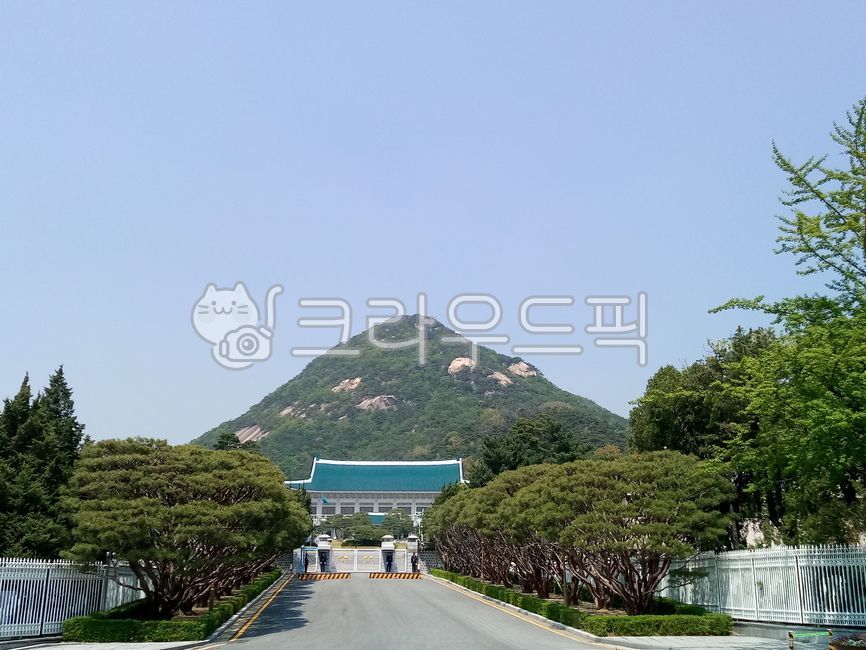 청와대,북악산,서울,outdoors,옥외,도로,road,블루하우스,대통령,bluehouse,도시,관공서
