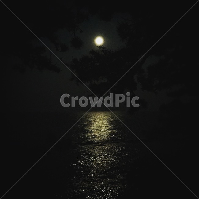 달,바다,moon,보름달,구름,야경,밤,풍경,nightscape,night,landscape,nature,자연,outdoors,옥외