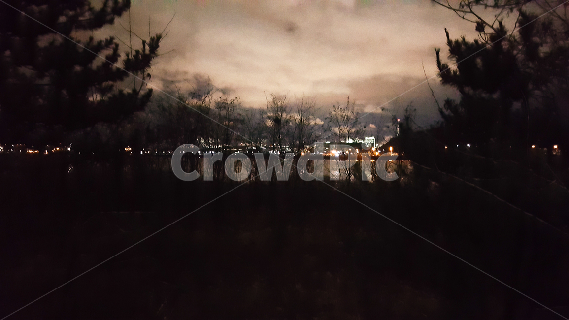 야경,구름,태화강,나무,풍경,울산,야경,밤,풍경,nightscape,night,landscape,도시,city,nature,자연,outdoors,옥외
