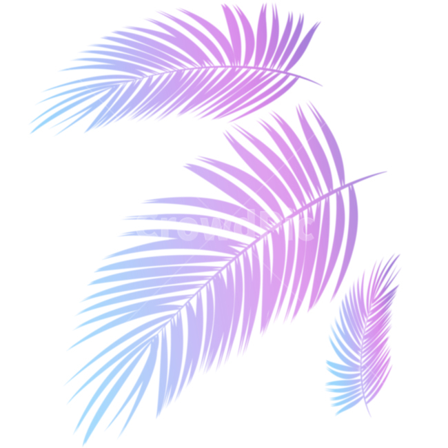 야자수잎,야자수,여름,잎,깃털,leaf,leaves,coconuttree,tree,summer,nature,feather,자연,그래픽,일러스트레이션,graphic,illustration