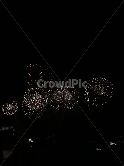 불꽃,불꽃축제,밤,바다,풍경