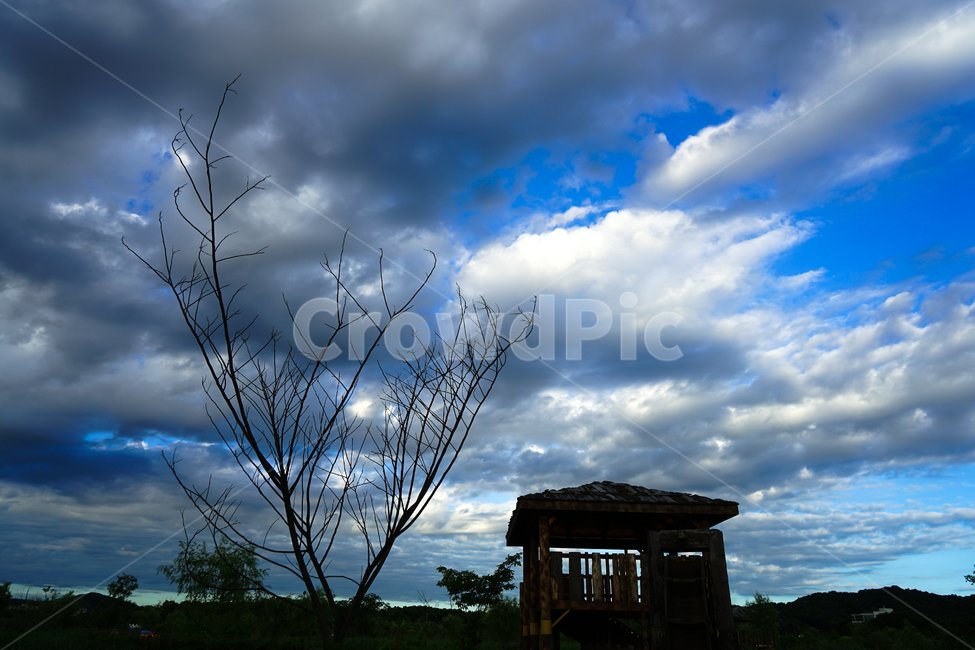 정자,하늘,구름,풍경,공원,자연,풍경,nature,landscape,한국전통,한국문화,korean traditional,korean culture,outdoors,옥외,rural,농촌,building,건물