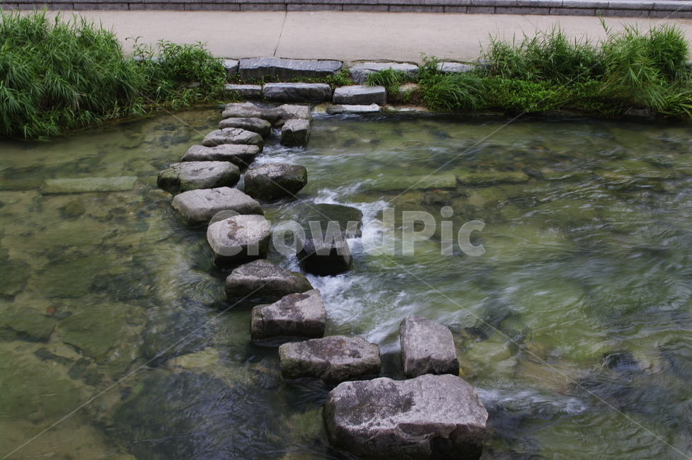 징검다리,초록,나무,식물,plant,자연,nature,냇가,강,자연,풍경,nature,landscape,water,물,outdoors,옥외,stream,흐름