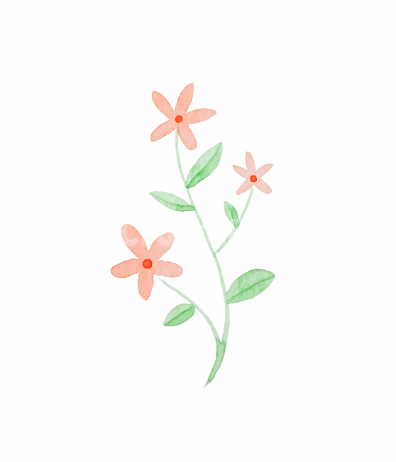 수채화,손그림,삽화,꽃,꽃대,잎,예쁜,귀여운,심플,psd,누끼,plant,식물,flower,blossom,그림,미술,art,다홍
