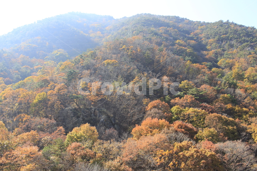 가을,단풍,풍경,산맥,산,등산,등산로,다채로운,낙엽,주황색,초록색,나무