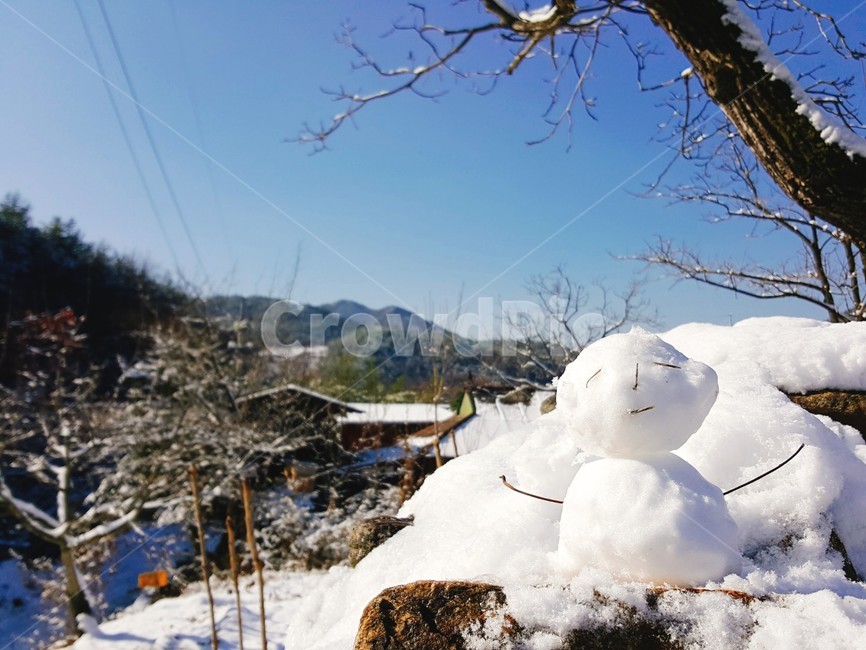 nature,자연,snow,눈,눈사람,겨울,풍경,겨울,계절,winter,season