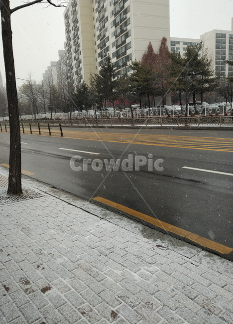 눈,도로,도심,길,풍경,겨울,계절,winter,season