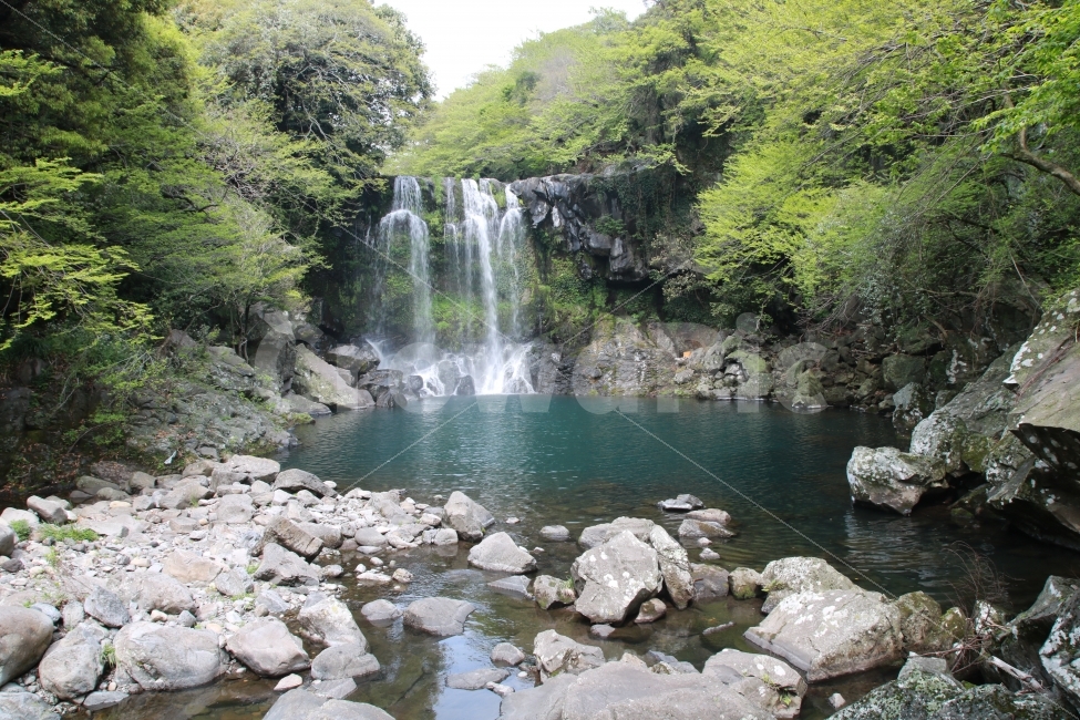제주도,천제연폭포,폭포,에메랄드빛,풍경,자연,풍경,nature,landscape,여름,계절,summer,season,제주도,jeju,jeju island,water,물,river,강,outdoors,옥외