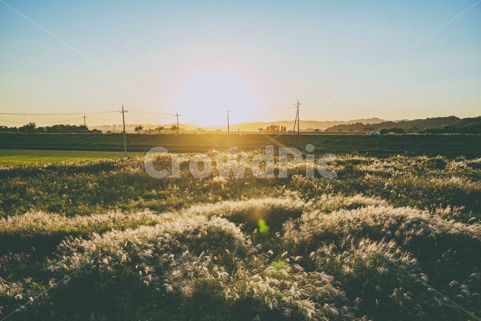 가을,노을,해질녘,자연,감성,sunset,가을,계절,fall,autumn,season,light,빛,flare,플레어,field,들
