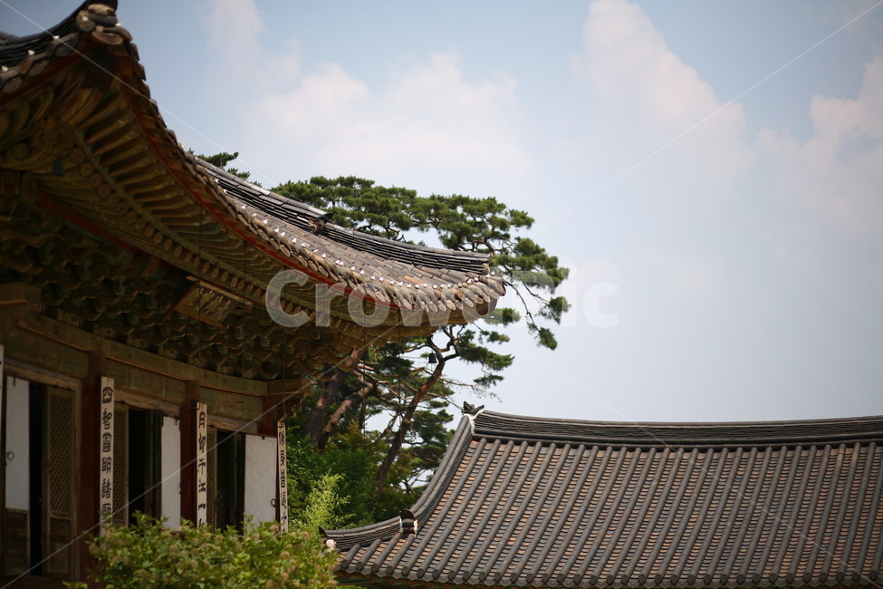 절,temple,풍경,자연,outdoor,한국전통,한국문화,korean traditional,korean culture
