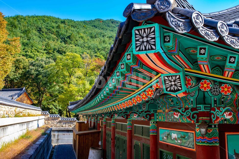 한옥,절,화엄사,구례,가을,기와,불교,단풍,한국전통,한국문화,korean traditional,korean culture,건축물,건물외관,exterior,building,structure,architecture,construction