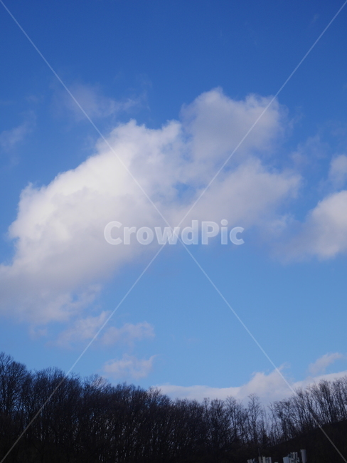하늘,구름,푸른하늘,나무위구름,맑은하늘,자연,풍경,nature,landscape,outdoors,옥외,sky