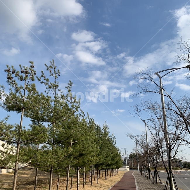 구름,날씨,하늘맑음,힐링,예쁨
