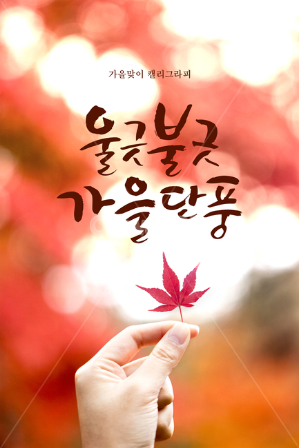 단풍,손,캘리그라피,손글씨,가을,배경,가을,계절,fall,autumn,season,캘리그라피,손글씨,calligraphy,leaf,잎,plant,식물,tree,나무